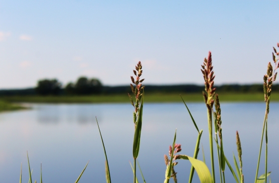 У Краматорську досліджено 5 проб води водоймищ: що виявили