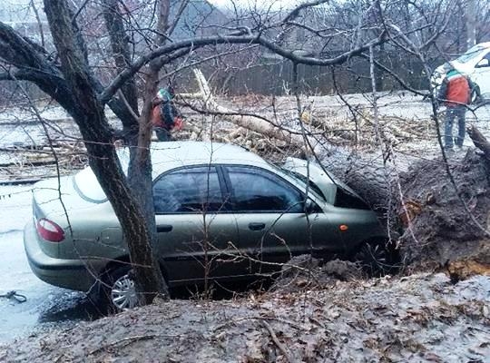 В Краматорске автомобиль врезался в лежащее дерево