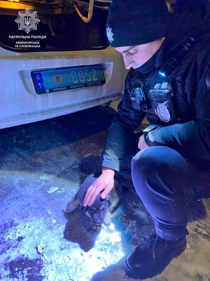 Піклуватись про тварин та не бути байдужим, коли вони потребують допомоги — це обов&#039;язок кожного, тим більше в люті морози