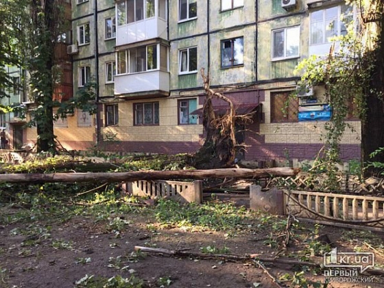 Ураган в Кривом Роге повалил более 150 деревьев и повредил крыши