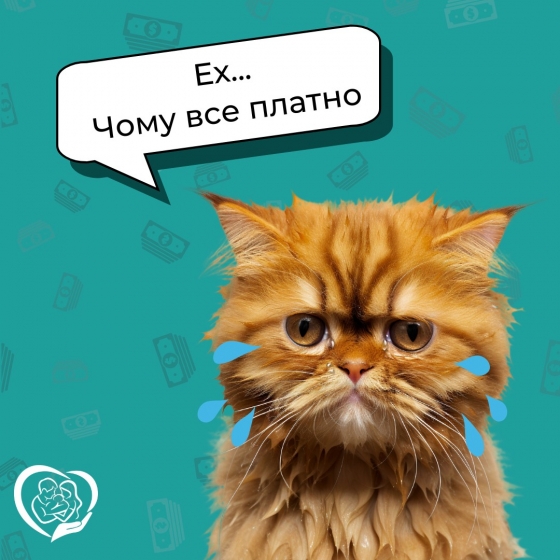 Які медичні послуги є безоплатними за наявності декларації з сімейним лікарем