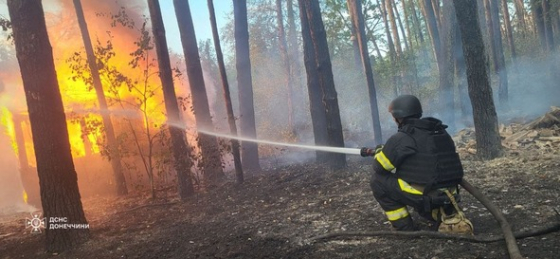 У Краматорському районі рятувальники ліквідували пожежі, що виникли внаслідок ворожих обстрілів