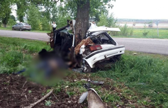 В Александровском районе в ДТП погибли 2 человека