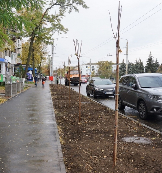 У Краматорську висадили 80 саджанців шароподібних кленів