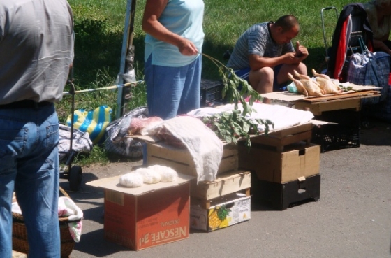 Продукты со стихийных рынков приводят к острым кишечным инфекциям