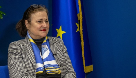 Посол ЄС розповіла, чому наступ ЗСУ на Курщині є дуже успішним рішенням