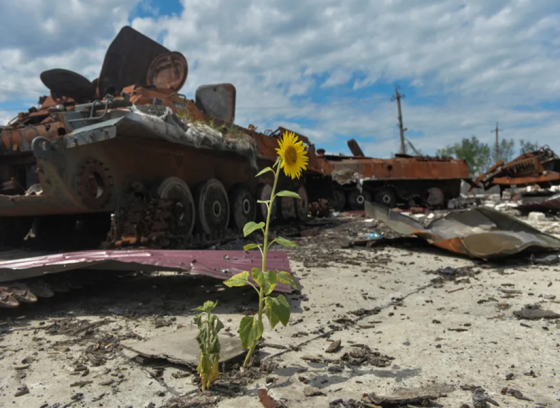 Збитки довкіллю від війни в Україні сягнули 367 мільярдів гривень, - Міноборони