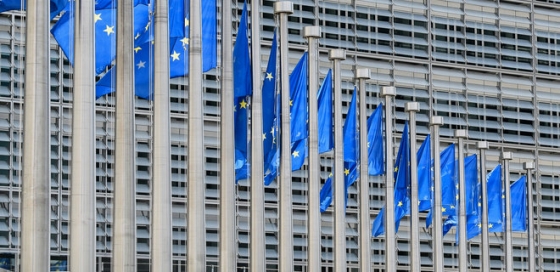 Є всі шанси, що оцінка ЄС щодо кандидатських критеріїв України буде високою, - посол Ченцов