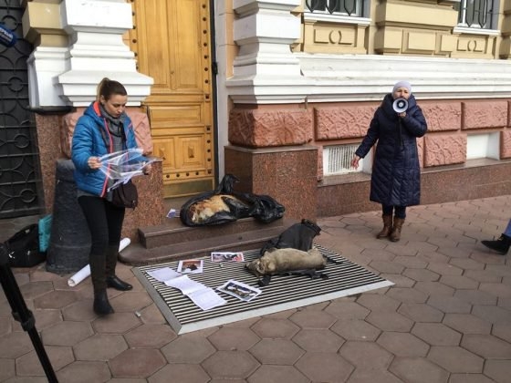 В Одессе впервые в истории Украины объявили подозрение и арестовали мужчину за жестокое обращение с животными