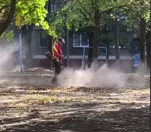 Управляюча компанія «Ладіс» пояснила, навіщо в Краматорську косять опале листя