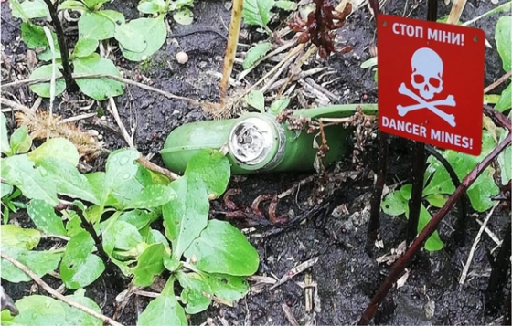 На міні-пелюстці підірвався мешканець Краматорського району
