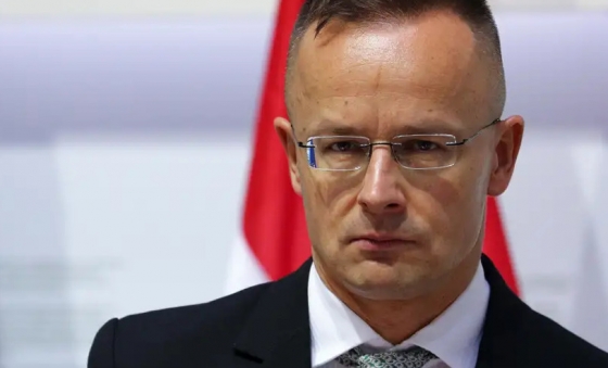 У кінцевій заяві саміту НАТО немає графіка щодо вступу України до Альянсу, - глава МЗС Угорщини Сіярто