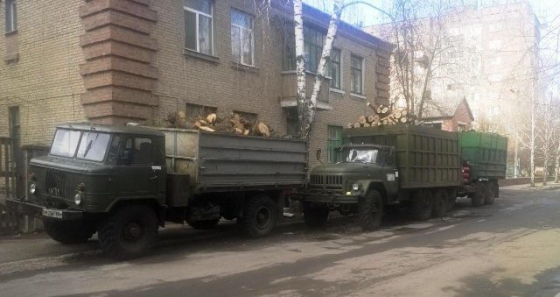 В Славянском и Лиманском районах вырубили лес на 2 млн гривен (фото)