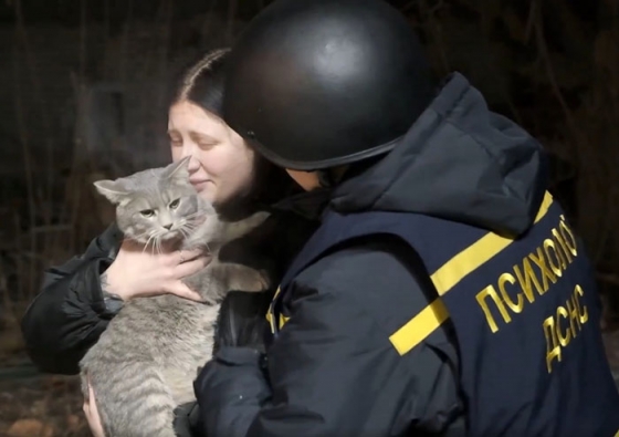 У Краматорську з-під завалів врятували кота