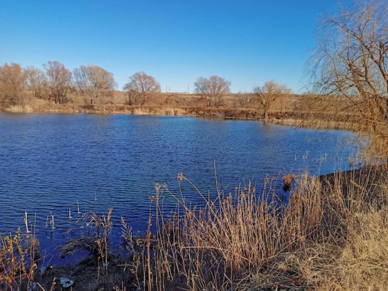 Про НЛО, що прилітає на 