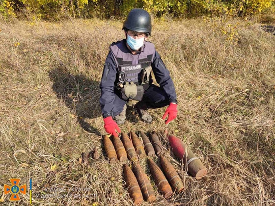 В лесу под Богородичным нашли более 40 авиабомб и артснарядов