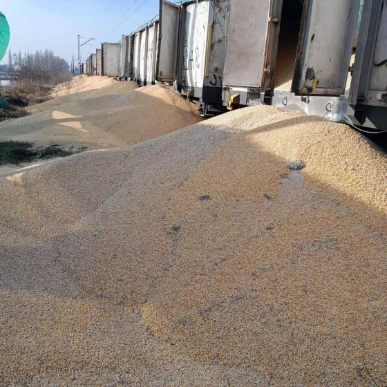 Польща наполягає на зміні правил торгівлі агропродукцією з Україною, - міністр Секерський