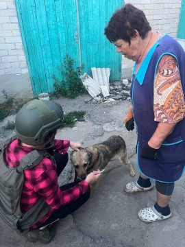 Евакуйований з Лимана пес Мухтар поїде до релокованого з Бахмута товариства «Лада»