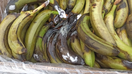 Міноборони після скарг на харчування перевірило склади з продуктами. Виявили порушення