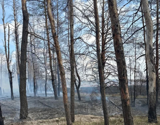 Оперативна ситуація по Донецькій області станом на ранок 29 березня