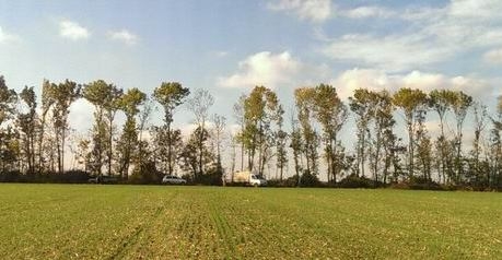 Возбуждено уголовное производство по факту незаконной вырубки леса на территории Славянского района