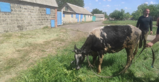 У Краматорському районі рятувальники витягли з колодязя теля (фото)