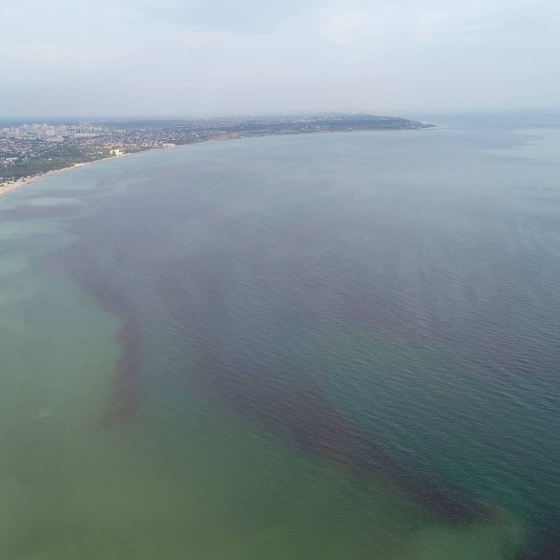 В Одессе покраснело море: рекомендуют не купаться и не есть морепродукты
