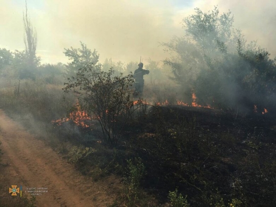 Протягом минулої доби внаслідок обстрілів російськими військами на Миколаївщині сталося п’ять пожеж, - ДСНС