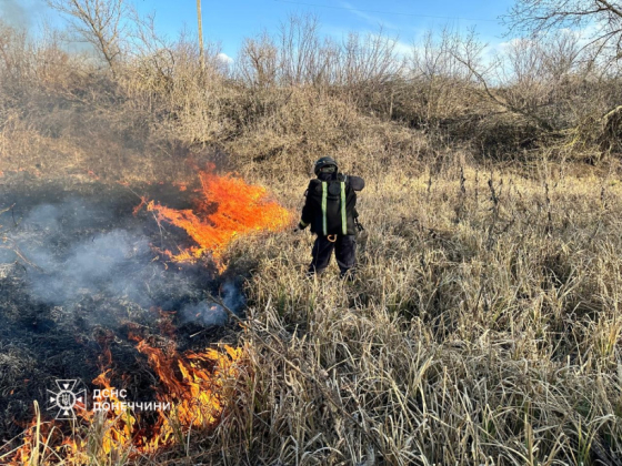 Замість весняних квітів — вогонь: на Донеччині пожежі знищують рослинний світ