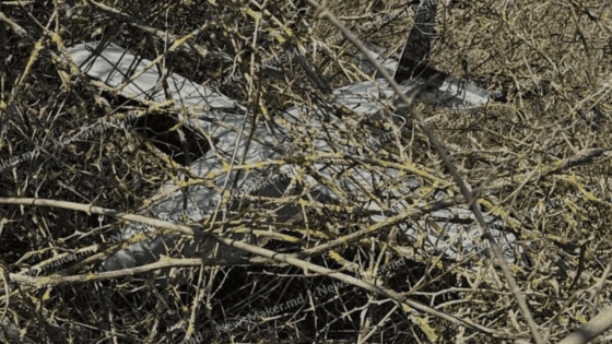У столиці Молдови біля ТЦ знайшли невідомий дрон: що кажуть у поліції