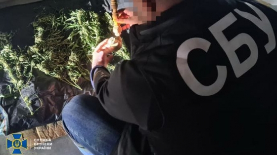 СБУ разоблачила банду, которая через Telegram продавала наркотики на миллионы гривен