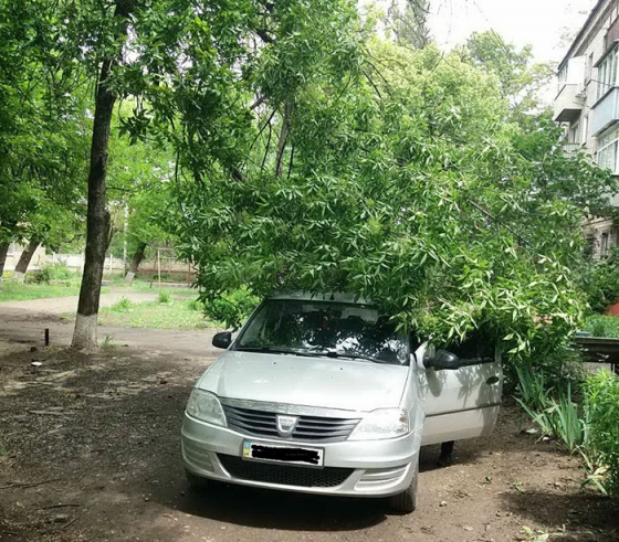 В Краматорске фрагмент дерева рухнул на автомобиль