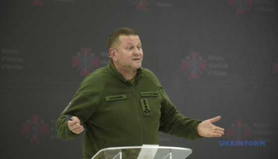 Залужний буде радий, якщо побачить у війську чоловіків, які виїхали за кордон