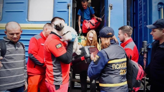 Волинь прийняла черговий евакуаційний потяг із Донецької області