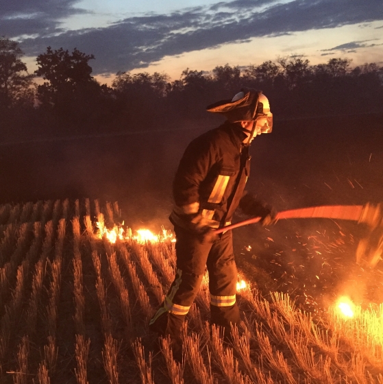 Донецкая область в огне природных пожаров: за сутки сгорело 140 га стерни