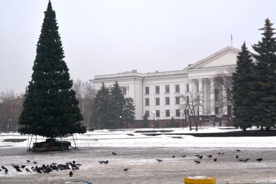 Главная елка Краматорска зажжет огни в День Святого Николая