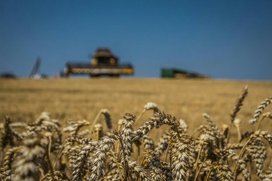 Збитки українських аграріїв через війну перевищили 40 мільярдів доларів