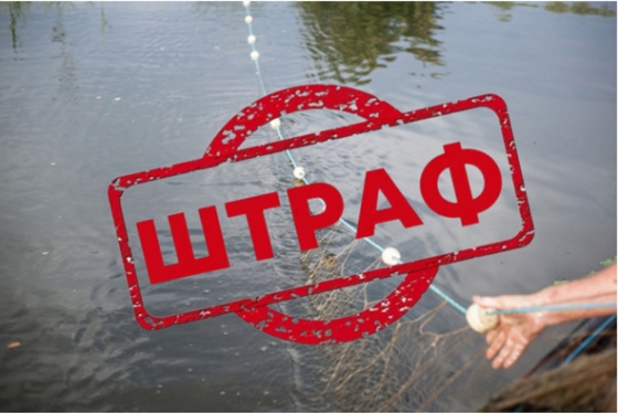 Суд наклав штраф на мешканця Краматорського району, який ловив рибу сіткою