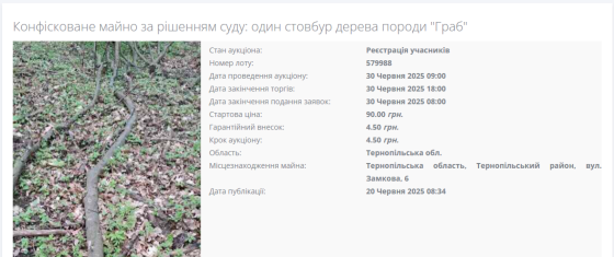 На Тернопільщині суд конфіскував у боржника гілку дерева: її Держвиконслужба виставила на аукціон