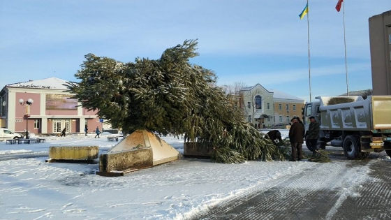 В Черкасской области из-за порыва ветра упала новогодняя ёлка