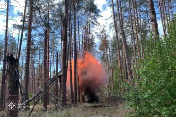 У природному парку Краматорського району виявлено і знищено протитанкову міну