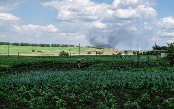 ООН запустила програму з розмінування та надання допомоги фермерам в Україні