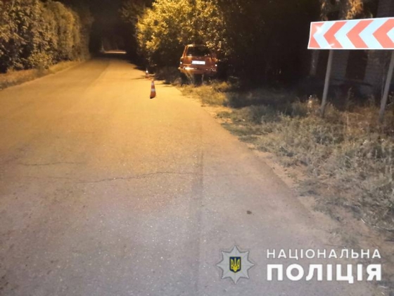 У передмісті Краматорська водій врізався у дерево 