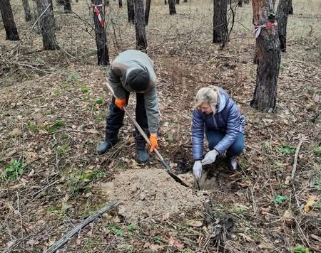 У НПП «Святі гори» вивчають стійкість змішаних лісів, щоб відновлювати ліси після пожеж