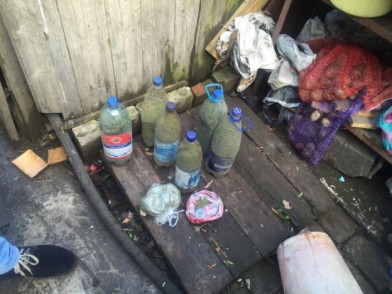 Краматорские полицейские изъяли около 2 кг каннабиса и 21 куст конопли (фото)