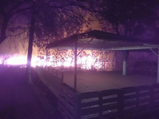 Вчерашний пожар в парке Юбилейный охватил площадь 700 квадратных метров 