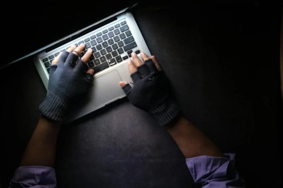 Понад 80% українців протягом року стикалися з шахрайством в інтернеті – опитування Rakuten Viber