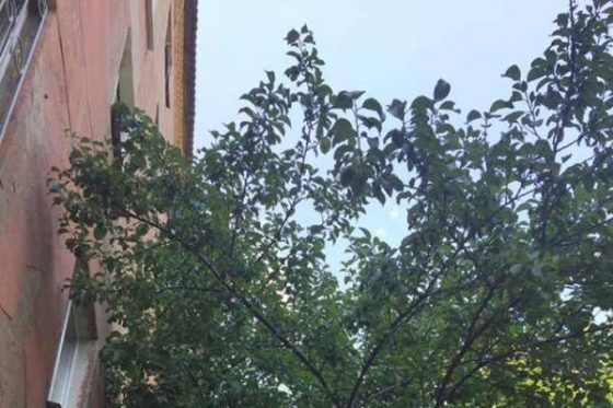 В Краматорске на улице Дворцовой с пятого этажа выпал годовалый ребенок