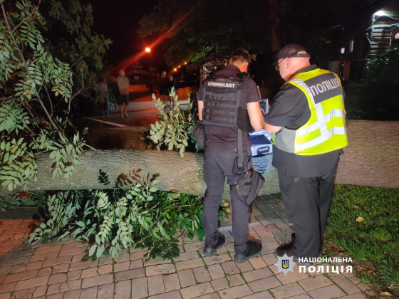 У парку Шевченка в Києві впало дерево: 1 людина померла, 3 - госпіталізовані