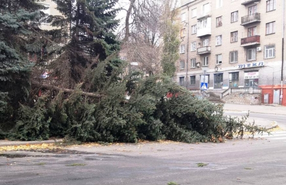 В Краматорске автомобиль сбил елку